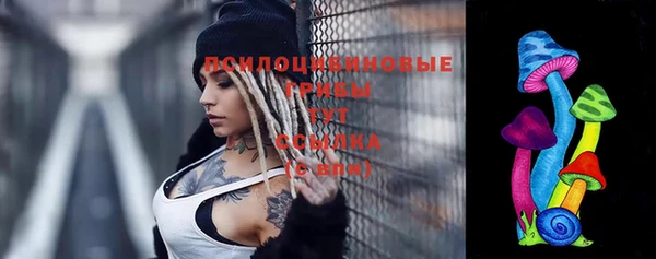 МДПВ Аркадак
