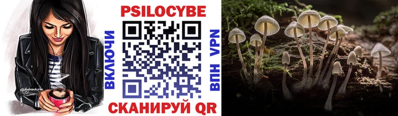гидра ONION Курган Галлюциногенные грибы ЛСД